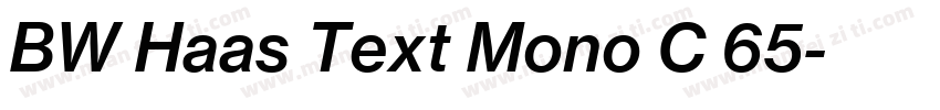 BW Haas Text Mono C 65字体转换